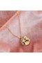 Seafood Motif Zircon Necklace - Gold Trend Steel Necklace (Starfish and Horse Model)
