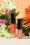 Lip and Cheek Tint 001 - 6