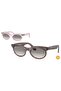 Change Collection 0Rb 2242 138432 53 Unisex Sunglasses