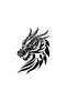 Flaming Dragon Auto Domestic Production A+Quality Black 25 X 35 cm Durable