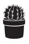 Cobalt I Blossom Cactus Model 6 Auto Domestic Production A+Quality 20 X 30 cm Durable