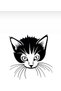 Cingöz Cat Auto Custom New Sticker Black 40*40 Cm