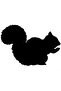 Cute Squirrel Design Auto Custom New Sticker Black 10*10 cm - 2