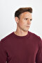 Men's Claret Red Standard Fit Normal Cut Crew Neck Cotton Knitwear Sweater - 4