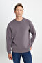 Men's Dark Gray Standard Fit Normal Cut 3 Thread Crew Neck Sweatshirt with Inner Fleece