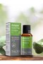 Eucalyptus Essential Oil (Eucalyptus Essential Oil), 100% Pure and Natural, 10 ml - 5