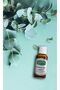 Eucalyptus Oil (Eucalyptus Oil), Natural, 20 ml - 4