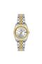 Women's Wristwatch S.Cs385T-02Sg