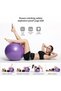 65 Cm Corded Pilates Ball and Pump Set Plates Balance Yoga Sports Exercise Ball Gymnastics Fitness Gym - 5