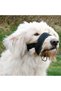 Rottweiler XL Dog Mouthpiece - FarmaPets