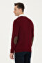 Men's Slim Fit V-Neck Claret Red Sweater 50269006-Vr014 - 5