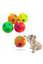 Cat - Dog Whistle Lighted Play Ball Colorful Lighted Ball Dog Play Ball