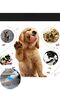Dog Paw Washing Device - 2
