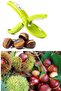 Practical Chestnut Cutter - 2