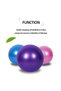65 Cm Corded Pilates Ball and Pump Set Plates Balance Yoga Sports Exercise Ball Gymnastics Fitness Gym - 3