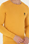 Men's Mustard Crew Neck Sweater 50269003-Vr072 - 6