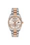 US Polo AssnUSPA2054-06 Women's Wristwatch
