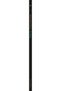 Son Öpüş - 2
