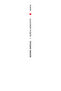 Yevgeni Onegin - 2