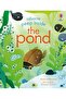 Peep Inside the Pond