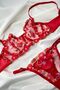 Women's Bra Suit New Year Merry Christmas Sweetheart Special Red Heart Underwire - 2