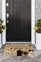 Cat Printed Non-Slip Base Erasable Door Mat (40X60Cm) - 8
