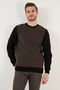 Cotton Regular Fit Crew Neck Sweat Men's Sweat 5905041 - 3