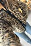 Brand Model Leopard Print Fringed Cardigan - 2