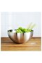 Service, Salad Bowl Medium Size Stainless Steel 20 cm Bowl Presentation, Deep - 3