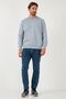 Cotton Regular Fit Crew Neck Sweat Men's Sweat 59050121 - 2