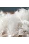 40X60 Model Home Goose Feather Pillow - 5