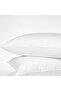 40X60 Model Home Goose Feather Pillow - 2
