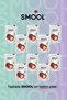 Freeze Dried Fruit Strawberry Pack of 10 - Strawberry 10-Pack (15 Grx10) Dried - Freeze Dry - 3