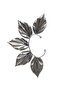 Women's Silver Color Lacquer Plated Zircon Stone Leaf Stylized Right Ear Earcuff & Cartilage Earring - 5