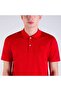 Men's Knitted Polo Shirt C.wCotton - 5