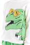 Boy's Dinosaur Printed Sweatshirt and Sweatpants Set 2 Pcs Ak2531 - 7
