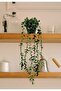 Eucalyptus Hanging in Fejka Black Diamond Flower Pot