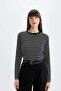 Regular Fit Crew Neck Striped Casual Long Sleeve T-Shirt A9254Ax24Au