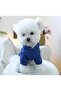Basic Sweat Hoodie Hat Cat Outfit Dog Outfit - 2