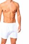 Men's Comfortable Cut Cotton Panties Boxer Set of 3 - 3