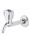 Classic Chrome Long Faucet - 2