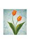 Marbling Paint Starter Set - 5