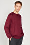 Men's Claret Red Standard Fit Normal Cut Crew Neck Knitwear Sweater - 3