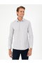 Brown Striped Slim Fit Long Sleeve Shirt 50294159-Vr029
