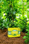 Marjoram Oil & Tea Tree Tea Tree Soap Pore Tightening Natural Soap 140 Gr - 4