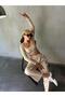 Women's Stone Elastic Waist Suede Leather Trousers 28081