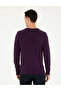 Purple Slim Fit Crew Neck Basic Sweater 50296575-Vr038 - 5
