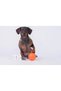 Collar Liker Cord 5 Small Breed and Puppy Training Toy 5 cm - 2