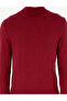 Vişne Slim Fit Turtleneck Basic Knitwear Sweater 50296602-Vr223 - 6