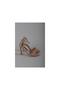 Choose 492 strap evening women's shoes (heel height 11 cm) rose - 3